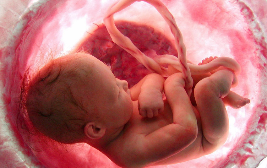 Important New Report Suggests Babies Do Experience Pain In The Womb As